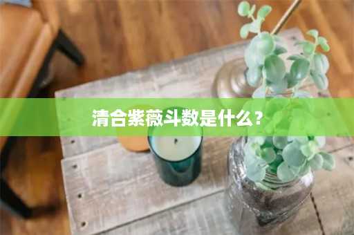 清合紫薇斗数是什么？