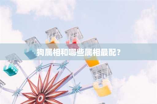 狗属相和哪些属相最配？