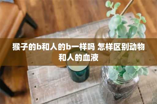 猴子的b和人的b一样吗 怎样区别动物和人的血液