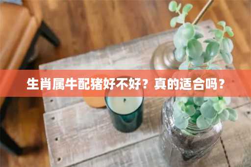 生肖属牛配猪好不好？真的适合吗？