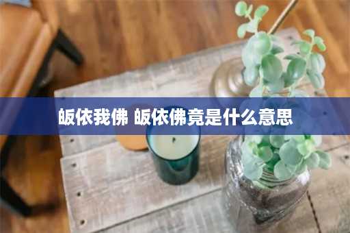 皈依我佛 皈依佛竟是什么意思