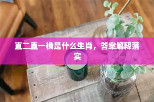 直二直一横是什么生肖，答案解释落实