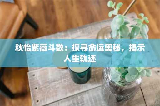 秋怡紫薇斗数：探寻命运奥秘，揭示人生轨迹