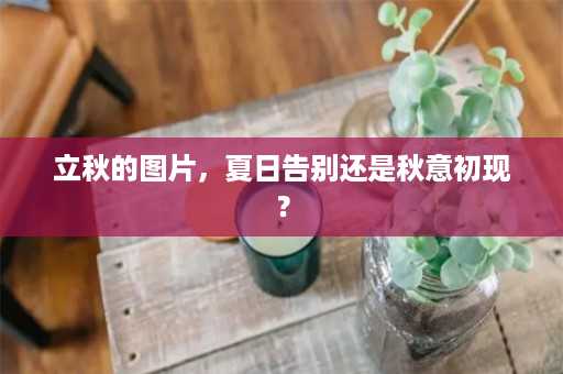 立秋的图片，夏日告别还是秋意初现？