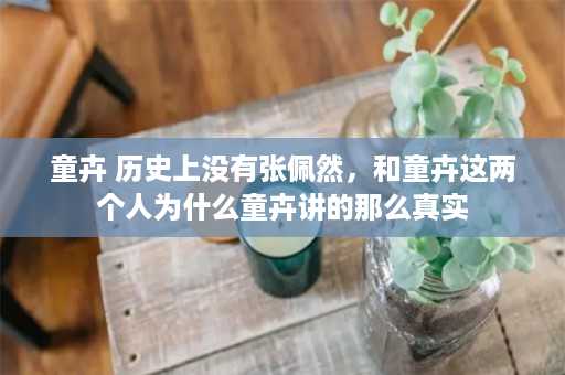 童卉 历史上没有张佩然，和童卉这两个人为什么童卉讲的那么真实