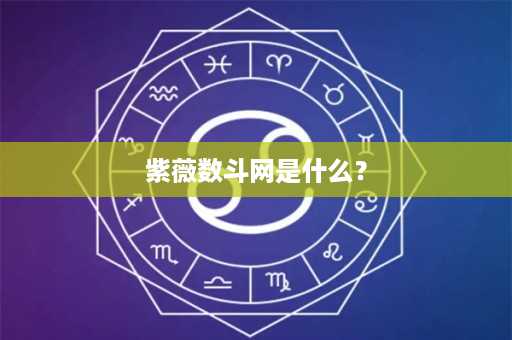 紫薇数斗网是什么？