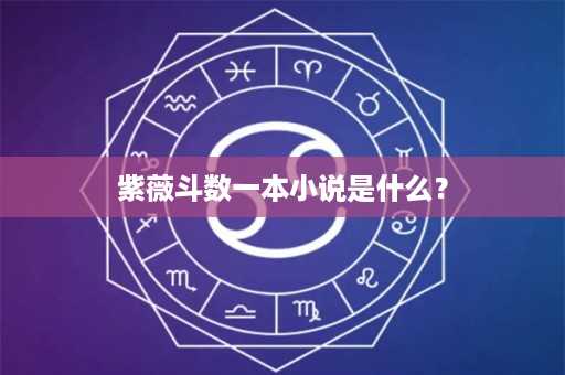 紫薇斗数一本小说是什么？