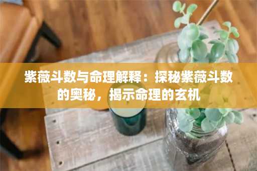 紫薇斗数与命理解释：探秘紫薇斗数的奥秘，揭示命理的玄机