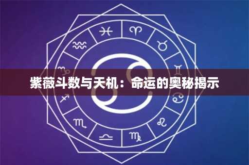 紫薇斗数与天机：命运的奥秘揭示