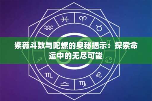 紫薇斗数与陀螺的奥秘揭示：探索命运中的无尽可能