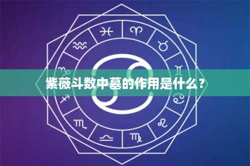 紫薇斗数中墓的作用是什么？