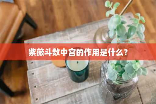 紫薇斗数中宫的作用是什么？