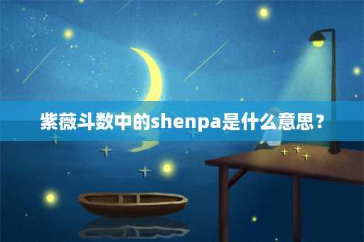 紫薇斗数中的shenpa是什么意思？