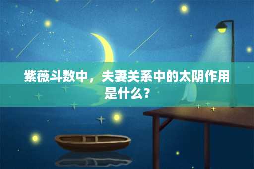 紫薇斗数中，夫妻关系中的太阴作用是什么？