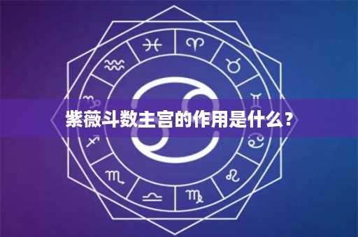 紫薇斗数主宫的作用是什么？