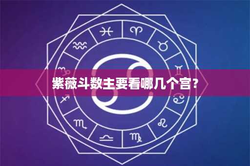 紫薇斗数主要看哪几个宫？