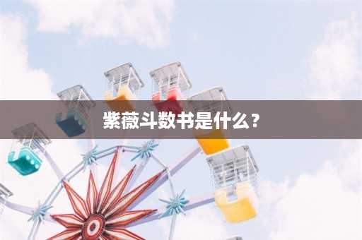 紫薇斗数书是什么？