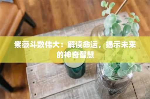 紫薇斗数伟大：解读命运，揭示未来的神奇智慧