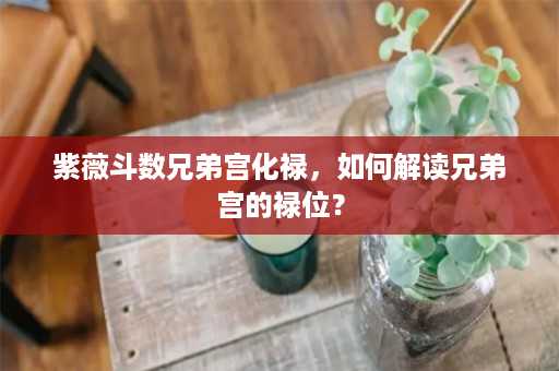 紫薇斗数兄弟宫化禄，如何解读兄弟宫的禄位？