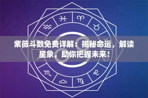 紫薇斗数免费详解：揭秘命运，解读星象，助你把握未来！