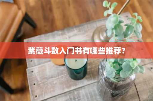 紫薇斗数入门书有哪些推荐？