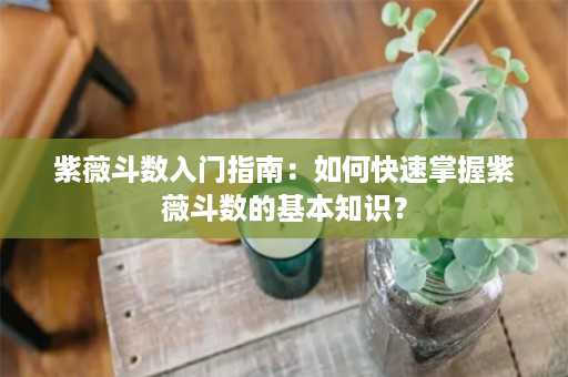 紫薇斗数入门指南：如何快速掌握紫薇斗数的基本知识？