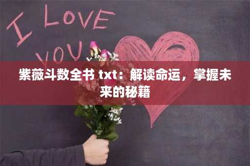 紫薇斗数全书 txt：解读命运，掌握未来的秘籍