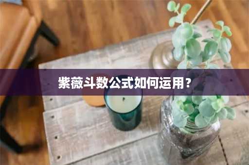 紫薇斗数公式如何运用？