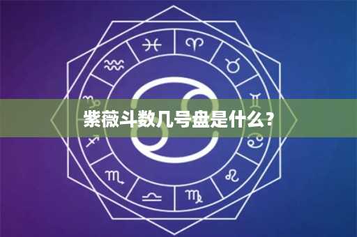 紫薇斗数几号盘是什么？