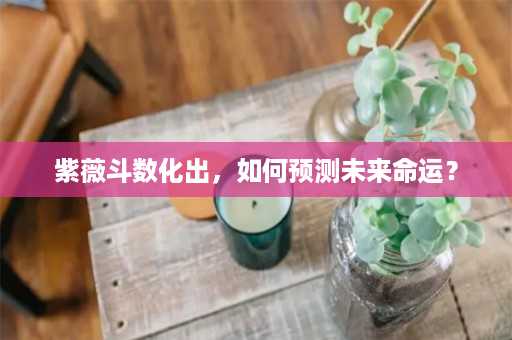 紫薇斗数化出，如何预测未来命运？