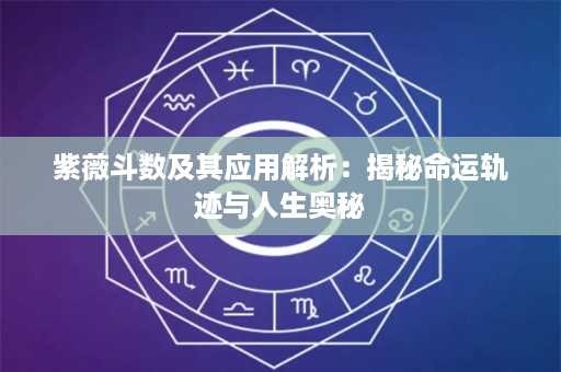 紫薇斗数及其应用解析：揭秘命运轨迹与人生奥秘