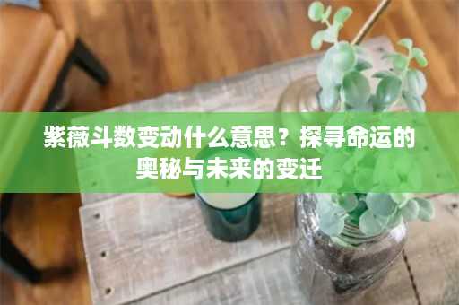 紫薇斗数变动什么意思？探寻命运的奥秘与未来的变迁