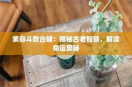 紫薇斗数台铺：揭秘古老智慧，解读命运奥秘