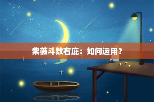 紫薇斗数右庇：如何运用？