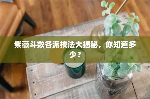 紫薇斗数各派技法大揭秘，你知道多少？