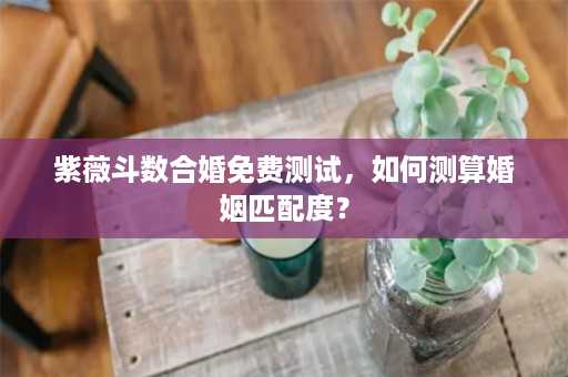 紫薇斗数合婚免费测试，如何测算婚姻匹配度？