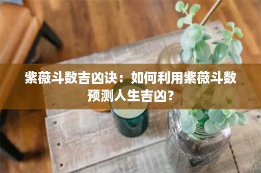 紫薇斗数吉凶诀：如何利用紫薇斗数预测人生吉凶？