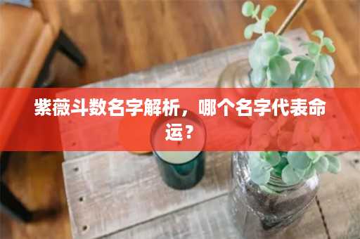 紫薇斗数名字解析，哪个名字代表命运？