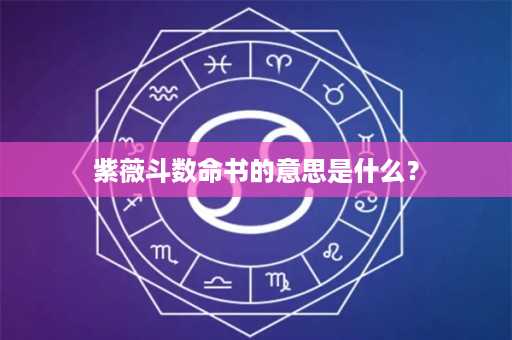 紫薇斗数命书的意思是什么？