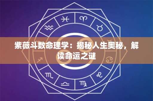 紫薇斗数命理学：揭秘人生奥秘，解读命运之谜