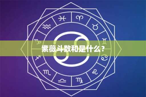 紫薇斗数和是什么？