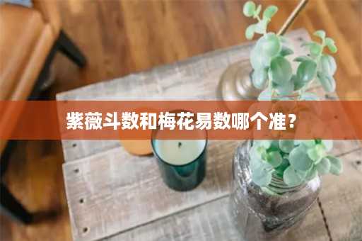 紫薇斗数和梅花易数哪个准？