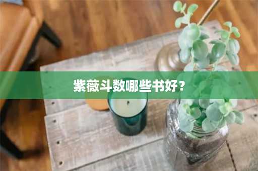 紫薇斗数哪些书好？