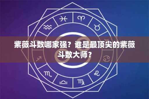 紫薇斗数哪家强？谁是最顶尖的紫薇斗数大师？