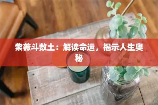 紫薇斗数土：解读命运，揭示人生奥秘