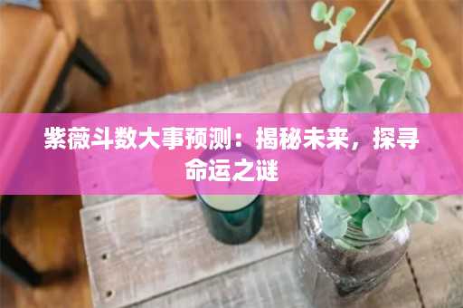 紫薇斗数大事预测：揭秘未来，探寻命运之谜