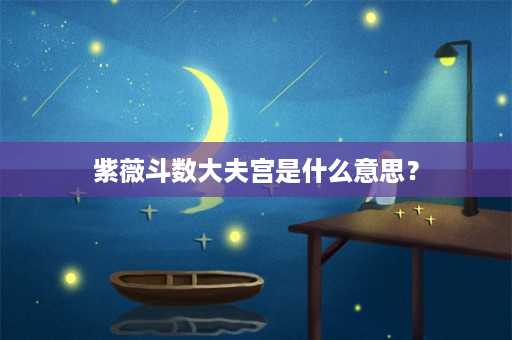 紫薇斗数大夫宫是什么意思？