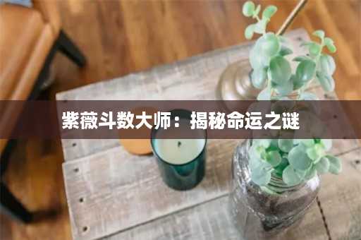 紫薇斗数大师：揭秘命运之谜