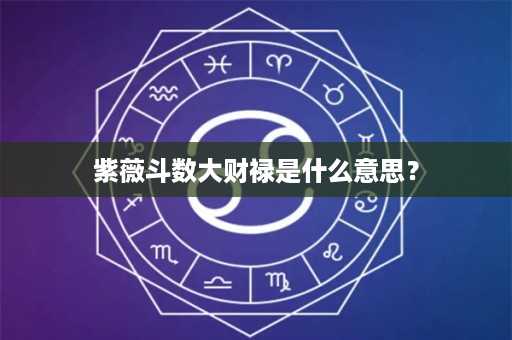 紫薇斗数大财禄是什么意思？