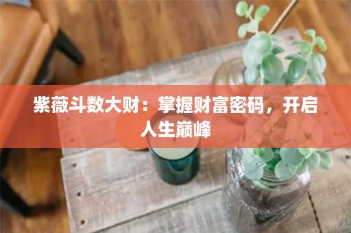 紫薇斗数大财：掌握财富密码，开启人生巅峰